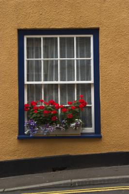 June 30 - window dressing