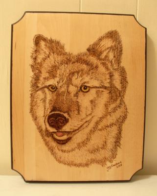 u47/joydeckd/medium/30659622.8Wolf2.jpg