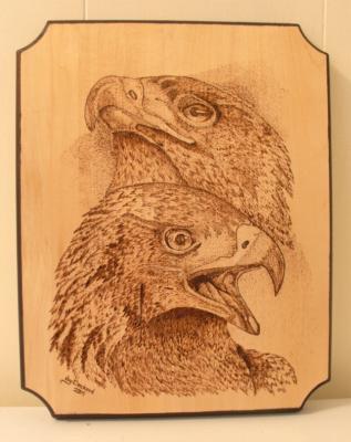 9-Eagles-2.JPG