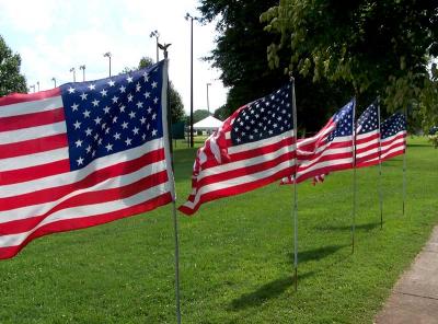 Independance Day Flags