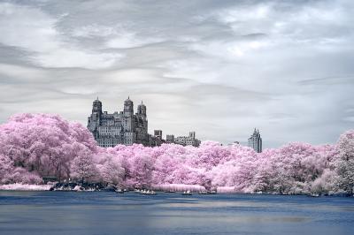 Central Park Lake