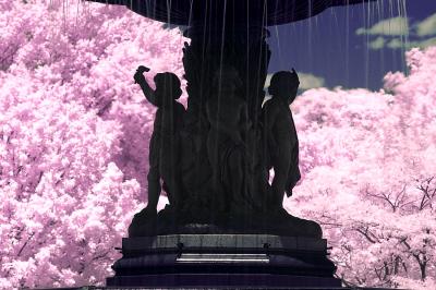 Bethesda Fountain 2