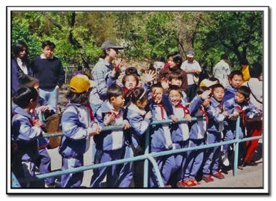 Beijing-Zoo.jpg