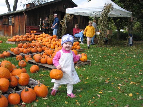ellie_pumpkins.jpg