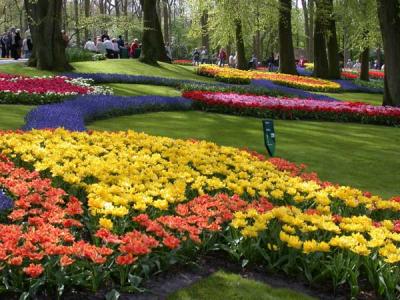 u47/jwc/medium/30286958.LeenenKeukenhofendoopnarcisDSCN3655.jpg