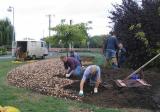 De plantploeg aan het werk