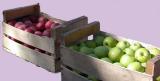 2 kisten appels uit Champign