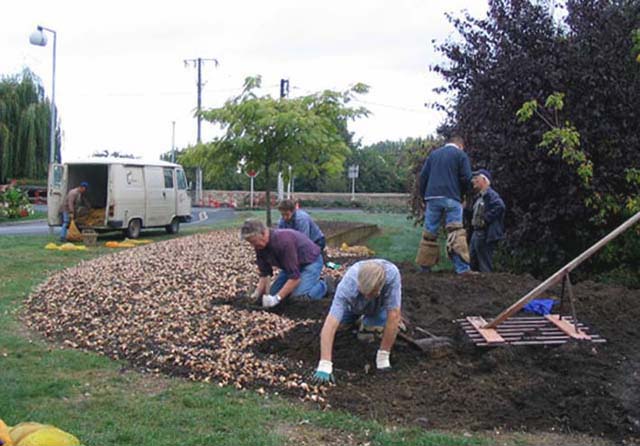 De plantploeg aan het werk