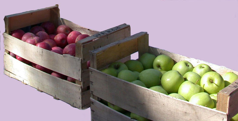 2 kisten appels uit Champign