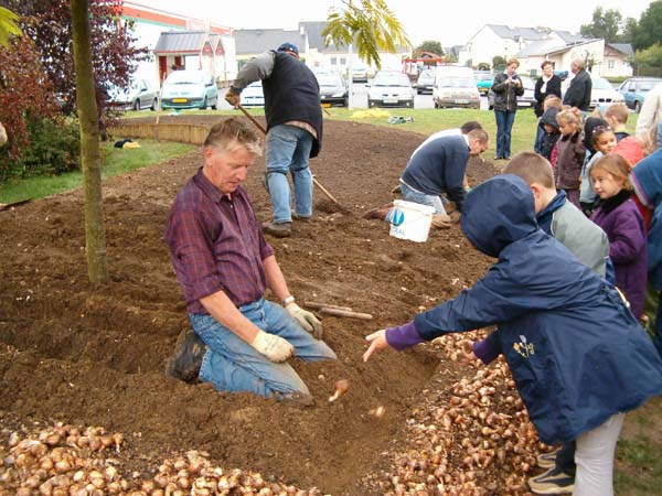 HPIM0182bollenplanten.jpg