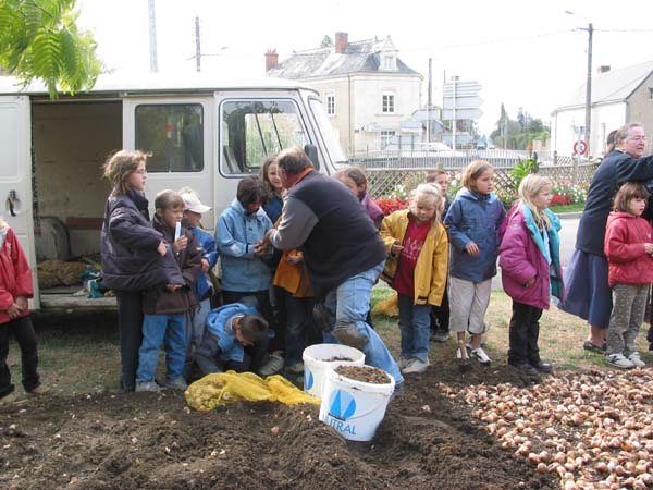 champigne 030bollenplanten.jpg