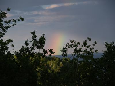 duluth_2004