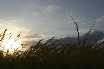 IMG_0766web.jpg