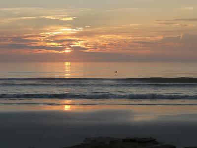 IMG_5486adjcrop.jpg