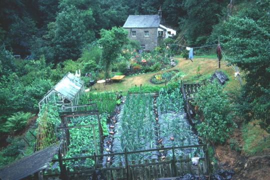 ENGLISH GARDEN