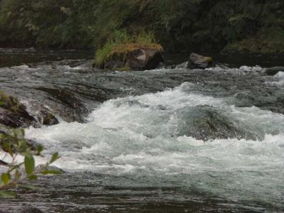 040612 Trask River