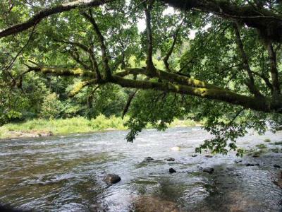 040612 Trask River