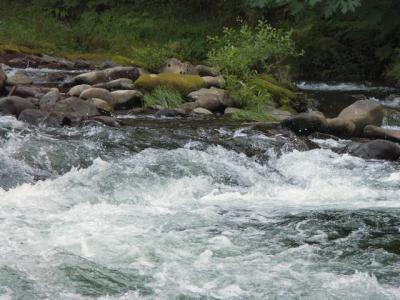 040612 Trask River Rapids
