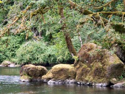 040625 Kilchis River