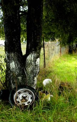 040918 Spare Tire