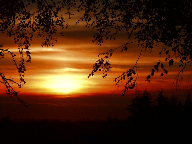040705 Sunset