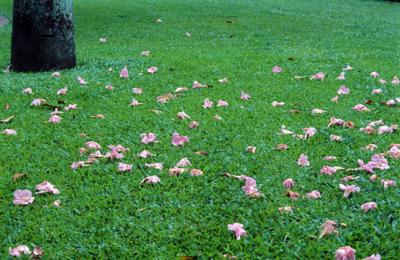 Image1046.jpg
