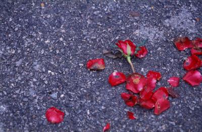 Image1051.jpg