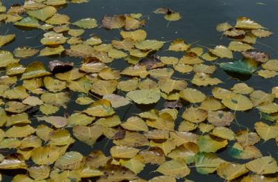 Image1049.jpg