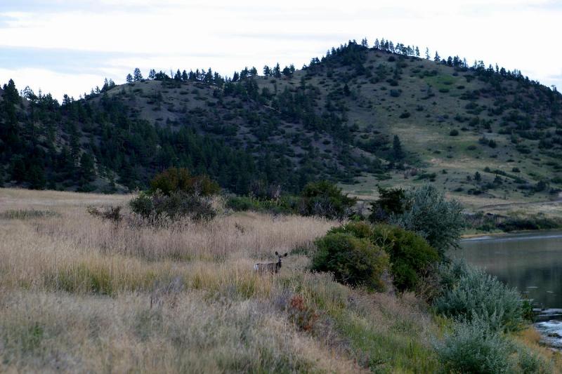 Missouri River, Montana