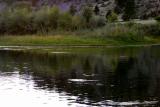 Missouri River, Montana