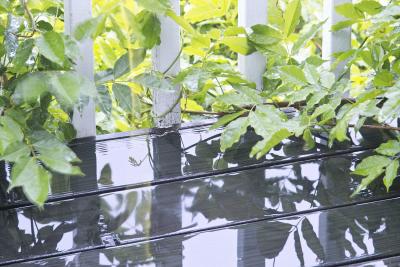Rainy Porch