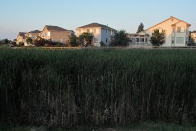 Neighborhood From Rear