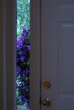 Flower Door