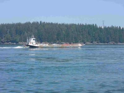 The ferry headed to the mainland