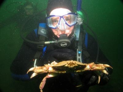 Don't get crabby with me!!!