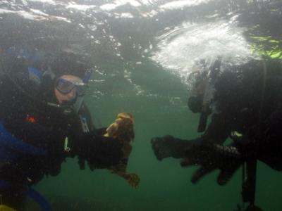 The passing of the fish
