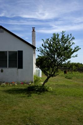 house