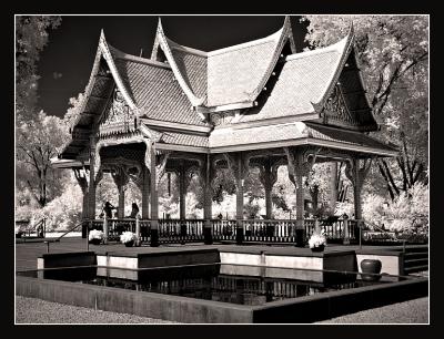 thai3130.jpg