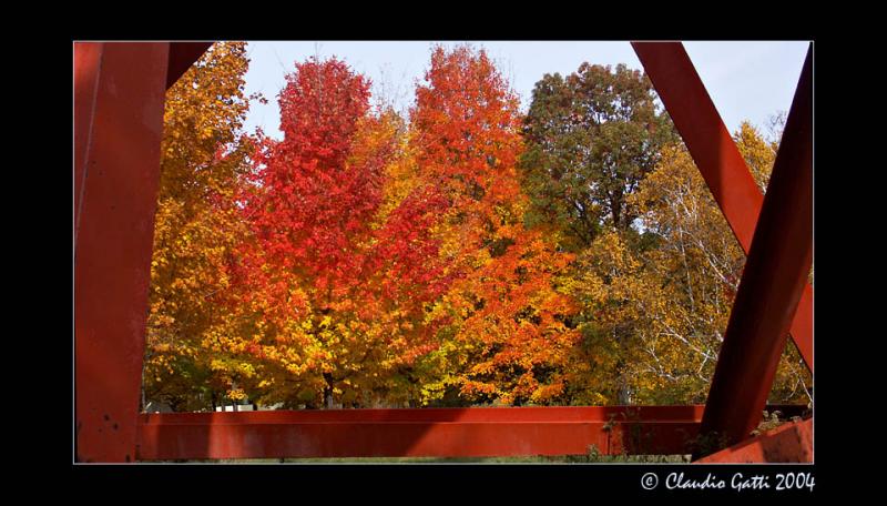 Art In The Park