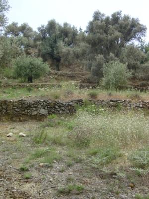 Crete countryside, Kreta Landschaft