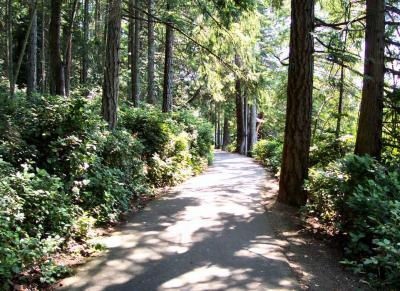 Path.jpg