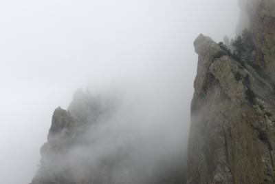 fog.jpg