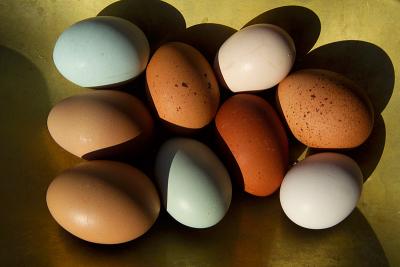 2nd Place - Eggs by Jono Slack