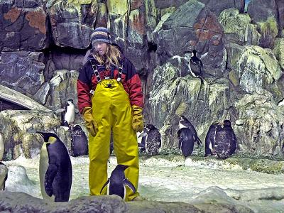Mama Penguin - by Blaine Byers