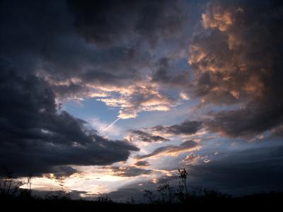 The Gathering Storm - by Blaine Byers