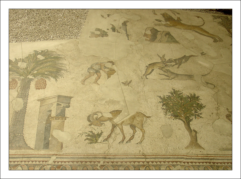 ancient floor