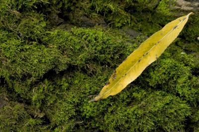 CRW_0554.jpg