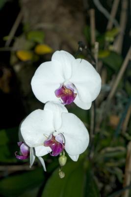 CRW_0838.jpg