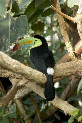CRW_0907.jpg