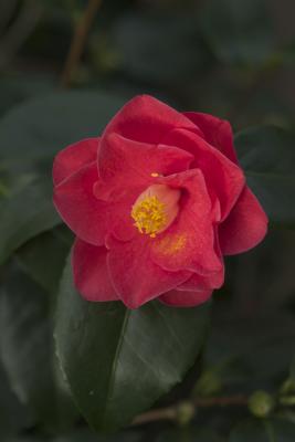 CRW_0925.jpg